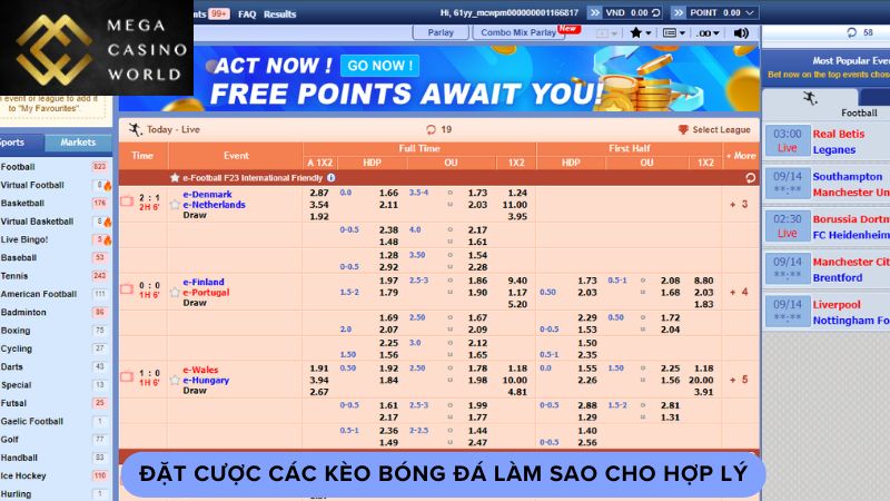 Đặt cược các kèo bóng đá làm sao cho hợp lý