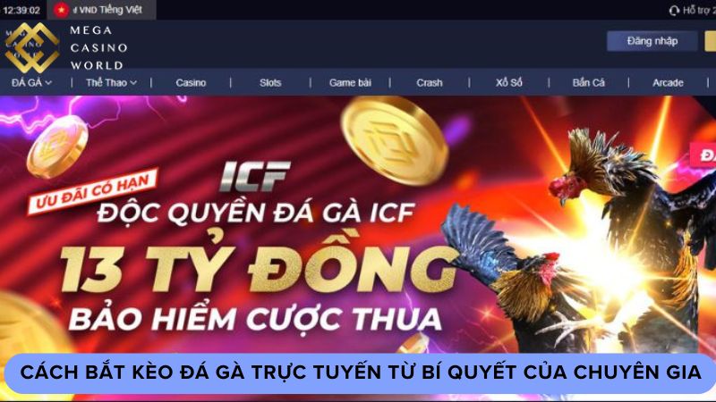 Cách bắt kèo đá gà trực tuyến từ bí quyết của chuyên gia