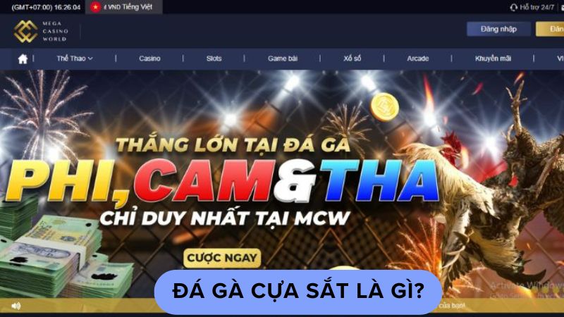 Đá gà cựa sắt là gì?