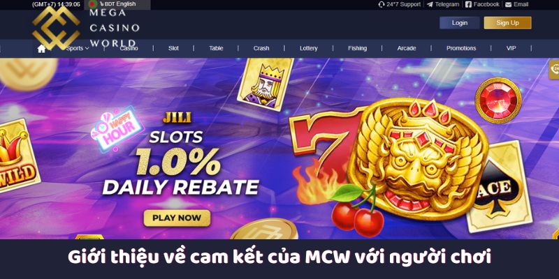 Giới thiệu về cam kết của MCW với người chơi