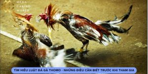 Tìm Hiểu Luật Đá Gà Thomo - Những Điều Cần Biết Khi Tham Gia