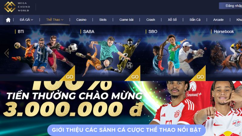 Giới thiệu các sảnh cá cược thể thao nổi bật